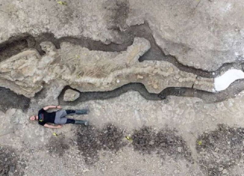 Encontraron en una reserva natural de Inglaterra un dragón marino fosilizado