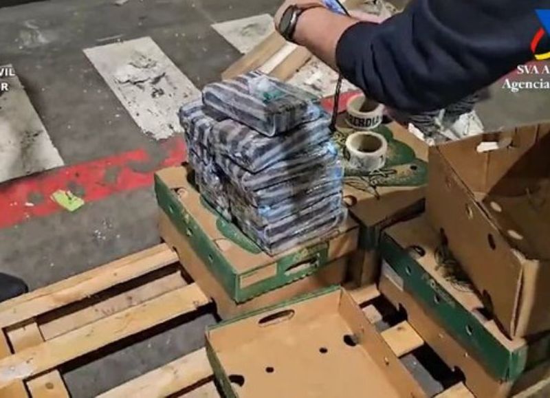 530 kilos de cocaína son incautados en Madrid en cajas de aguacates provenientes del país